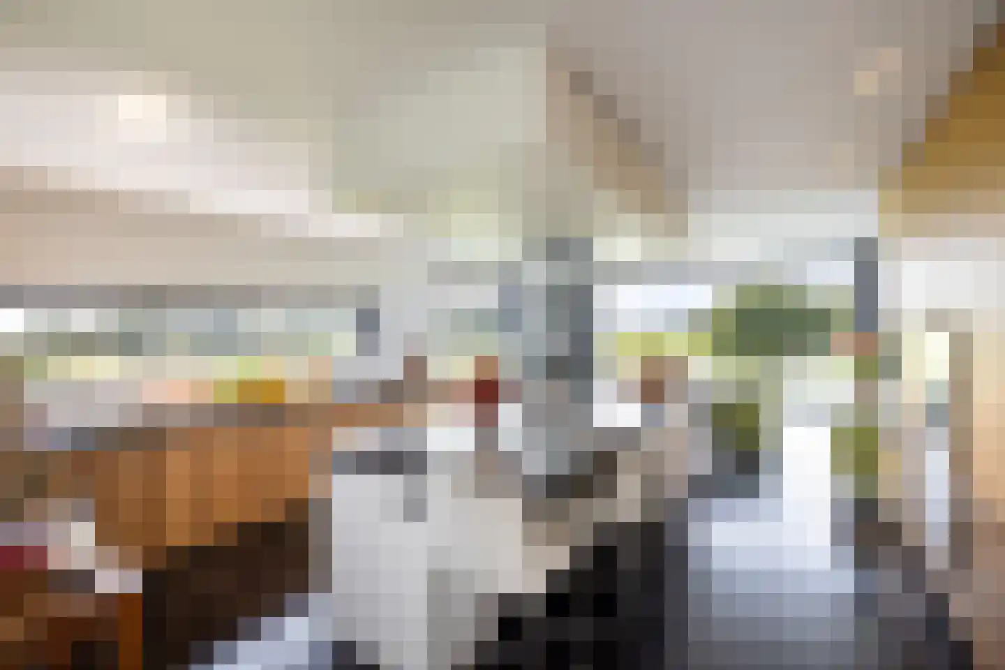 Zuidbuurtseweg 1 A Zoeterwoude thumbnail 6