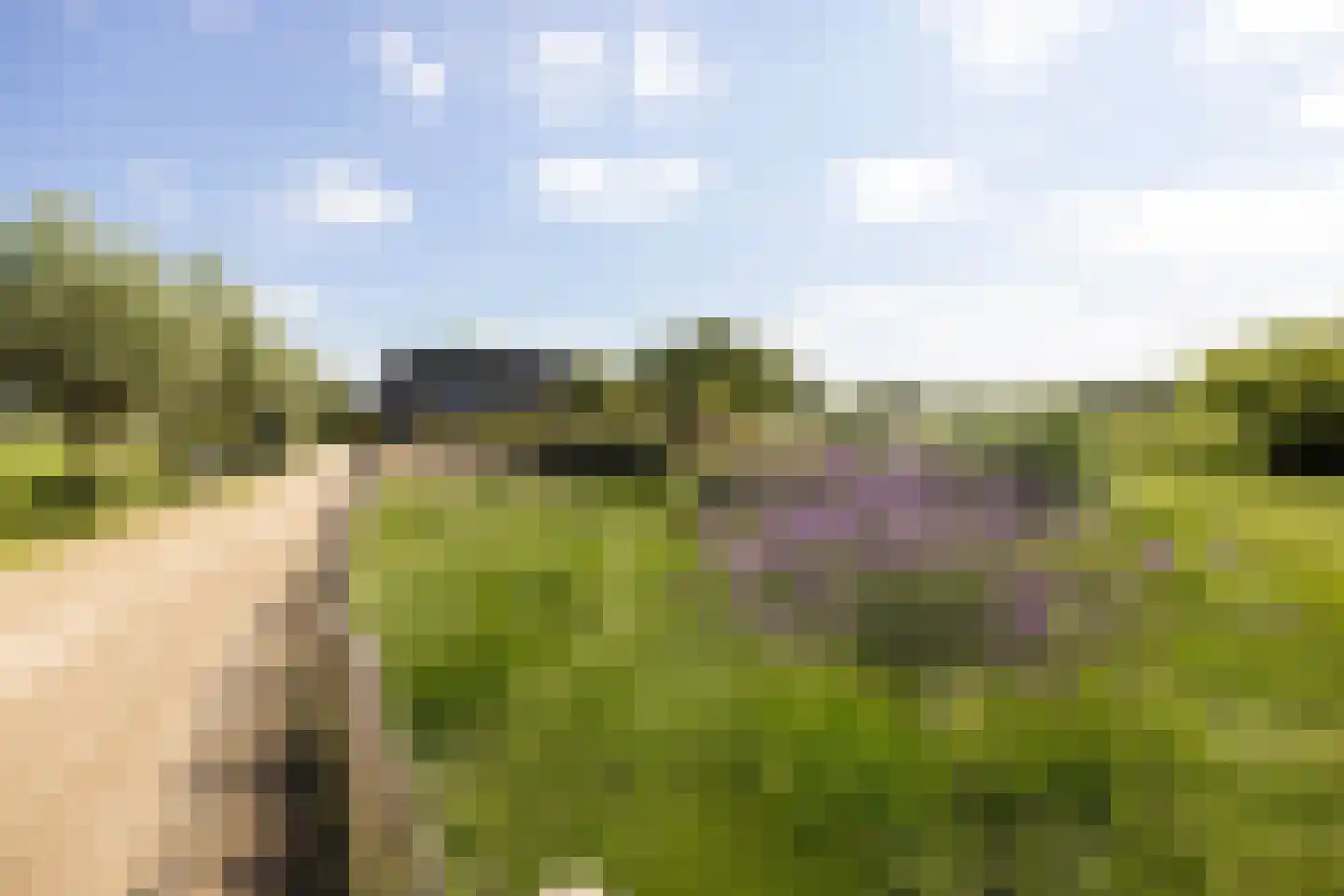 Zuidbuurtseweg 1 Zoeterwoude thumbnail 23