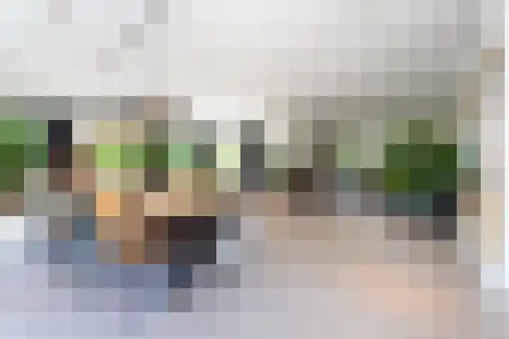 Zuidbuurtseweg 50 B Zoeterwoude thumbnail 11