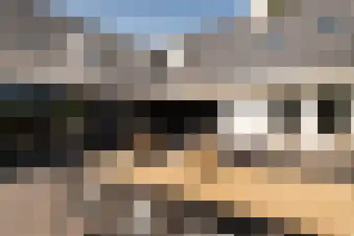 Zuidbuurtseweg 50 B Zoeterwoude thumbnail 22