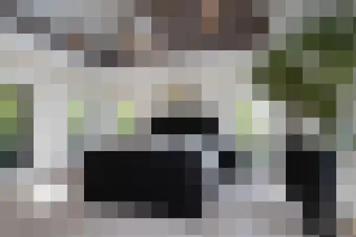 Zuidbuurtseweg 50 B Zoeterwoude thumbnail 24