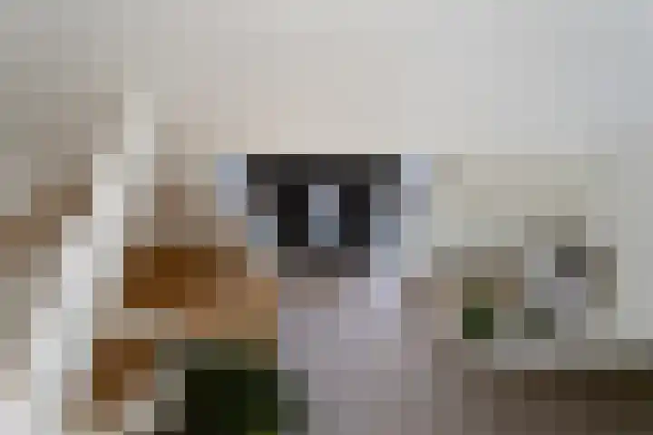 Zuidbuurtseweg 50 B Zoeterwoude thumbnail 30