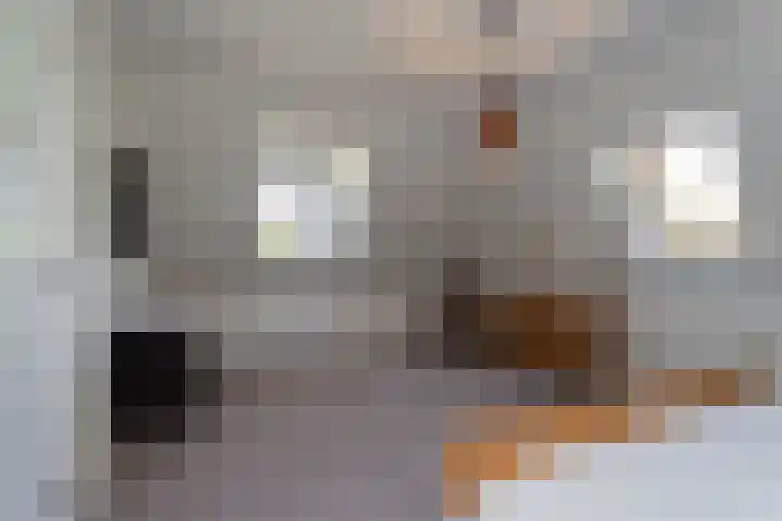 Zuidbuurtseweg 50 B Zoeterwoude thumbnail 33