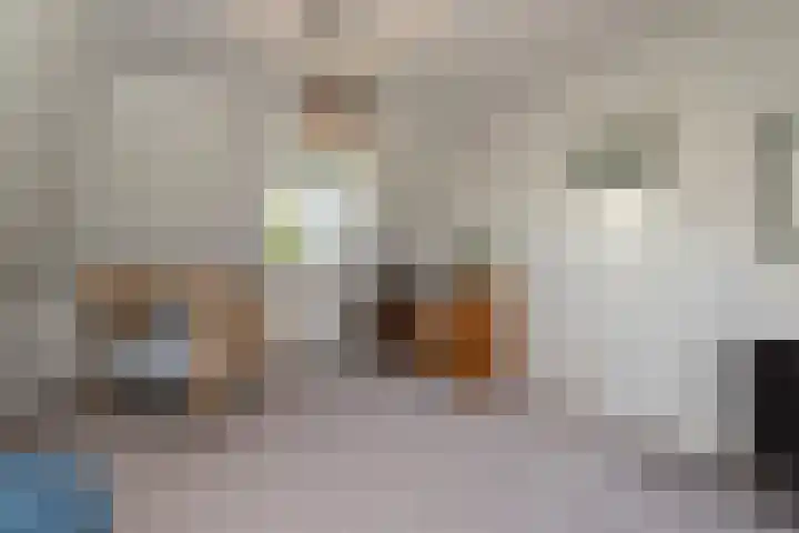 Zuidbuurtseweg 50 B Zoeterwoude thumbnail 37