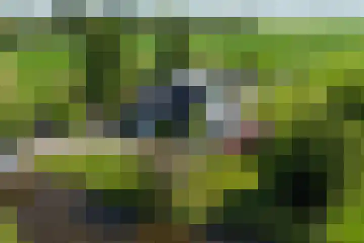 Zuidbuurtseweg 50 B Zoeterwoude thumbnail 4