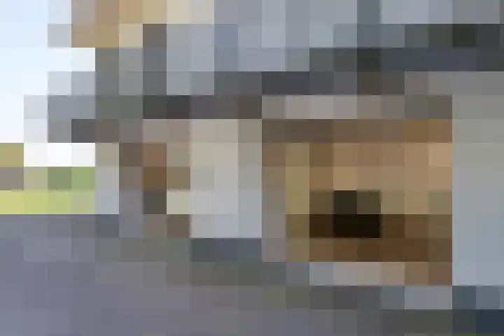 Zuidbuurtseweg 50 B Zoeterwoude thumbnail 46