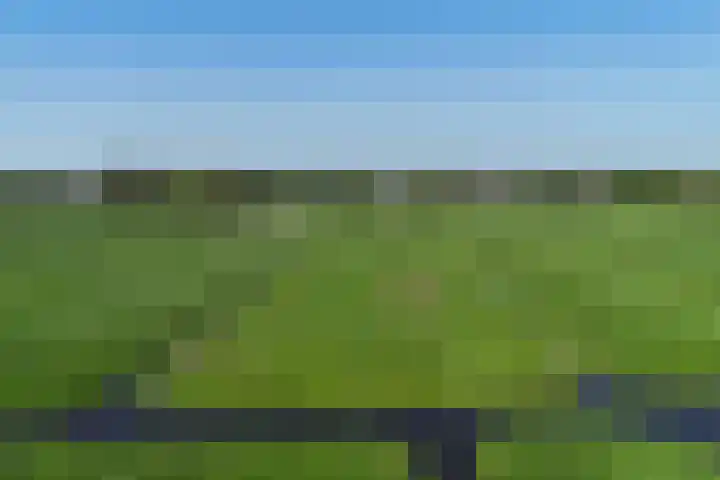 Zuidbuurtseweg 50 B Zoeterwoude thumbnail 48