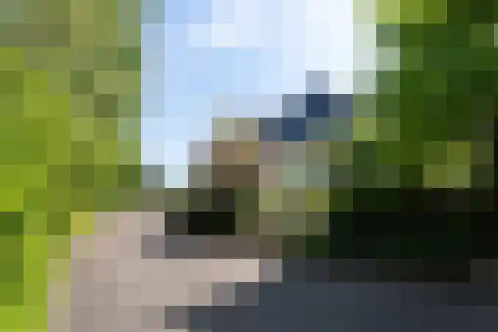 Zuidbuurtseweg 50 B Zoeterwoude thumbnail 6