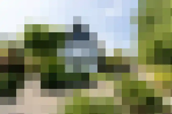 Zuidbuurtseweg 50 B Zoeterwoude thumbnail 7