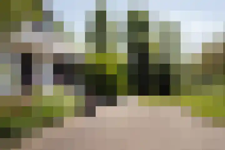 Zuidbuurtseweg 50 B Zoeterwoude thumbnail 8