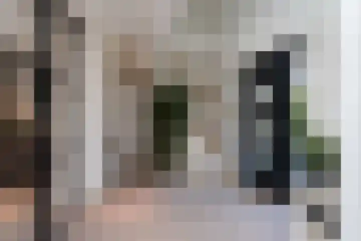Zuidbuurtseweg 50 B Zoeterwoude thumbnail 9