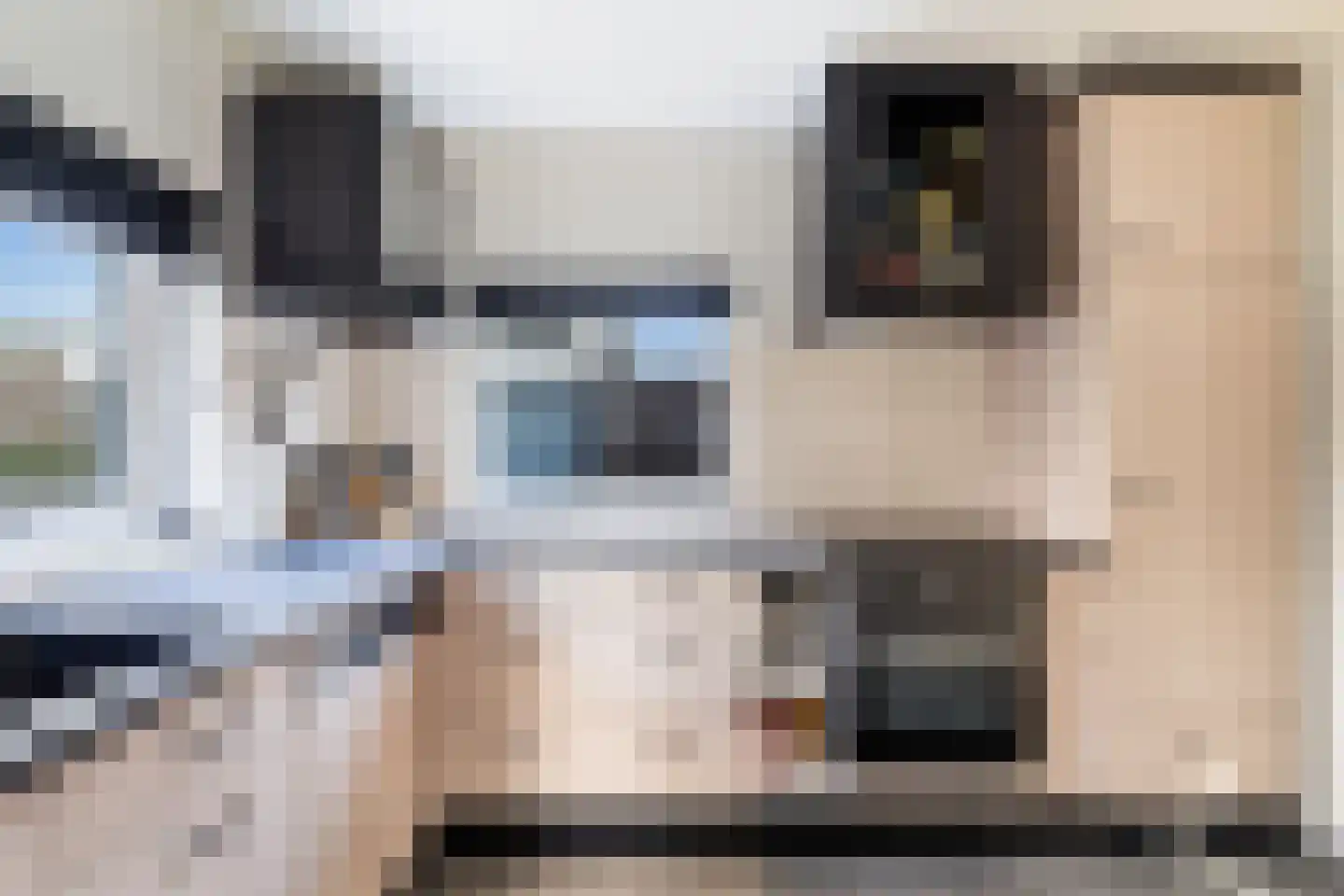 Zuidbuurtseweg 66 Zoeterwoude thumbnail 20