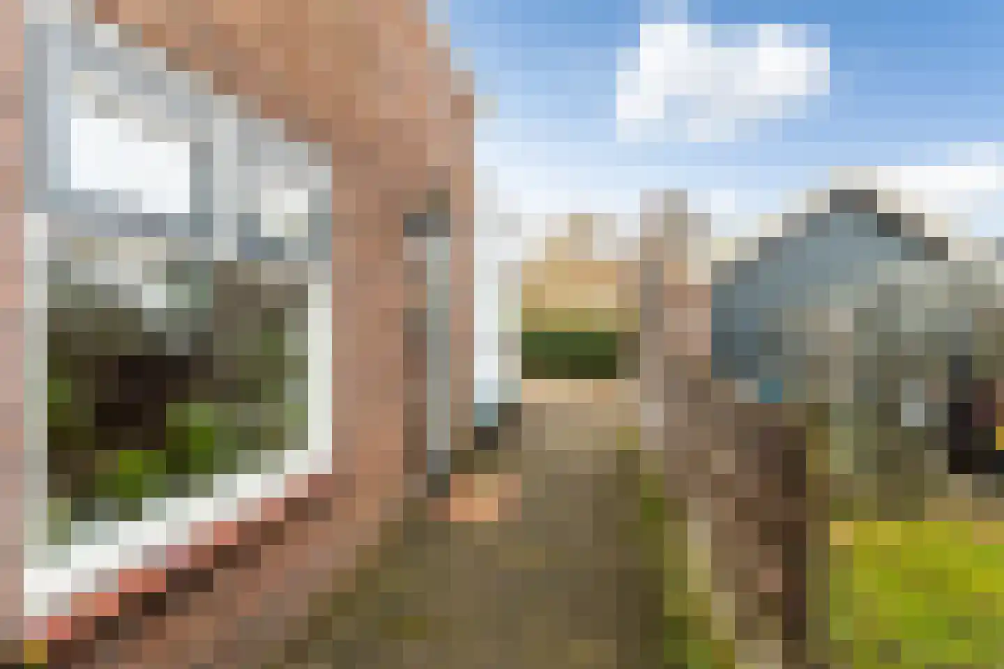 Zuidbuurtseweg 66 Zoeterwoude thumbnail 4