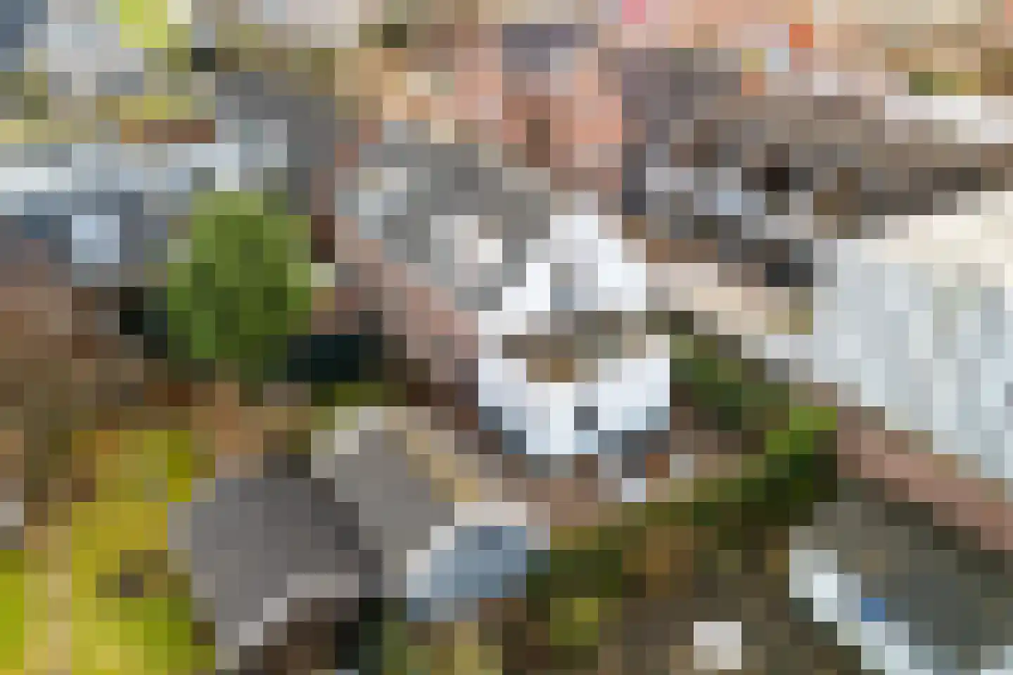 Zuidbuurtseweg 66 Zoeterwoude thumbnail 40