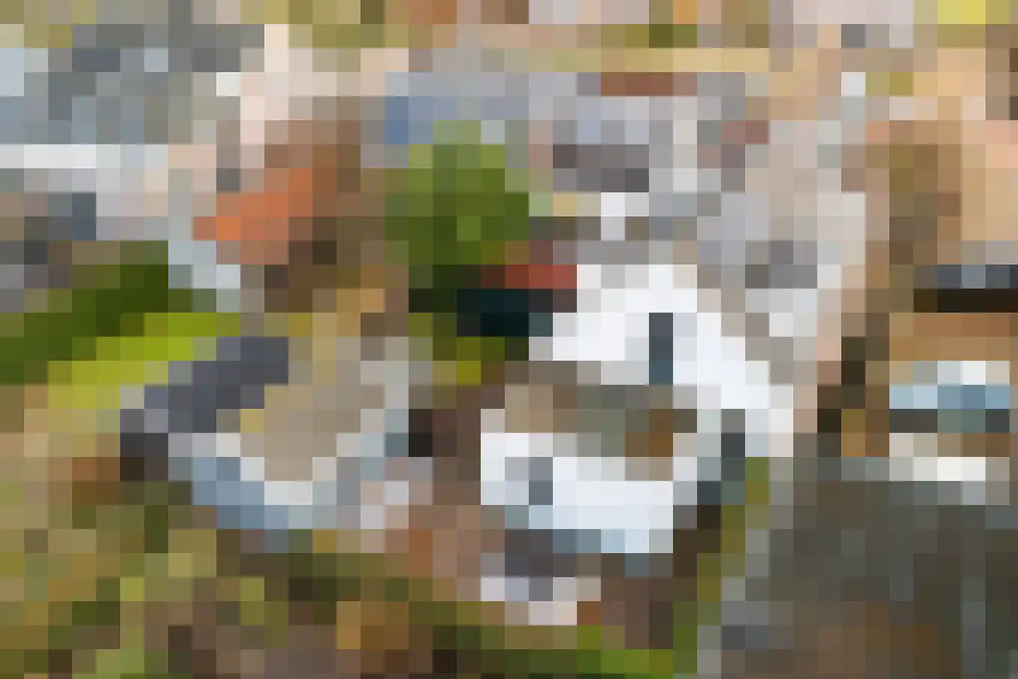 Zuidbuurtseweg 66 Zoeterwoude thumbnail 41
