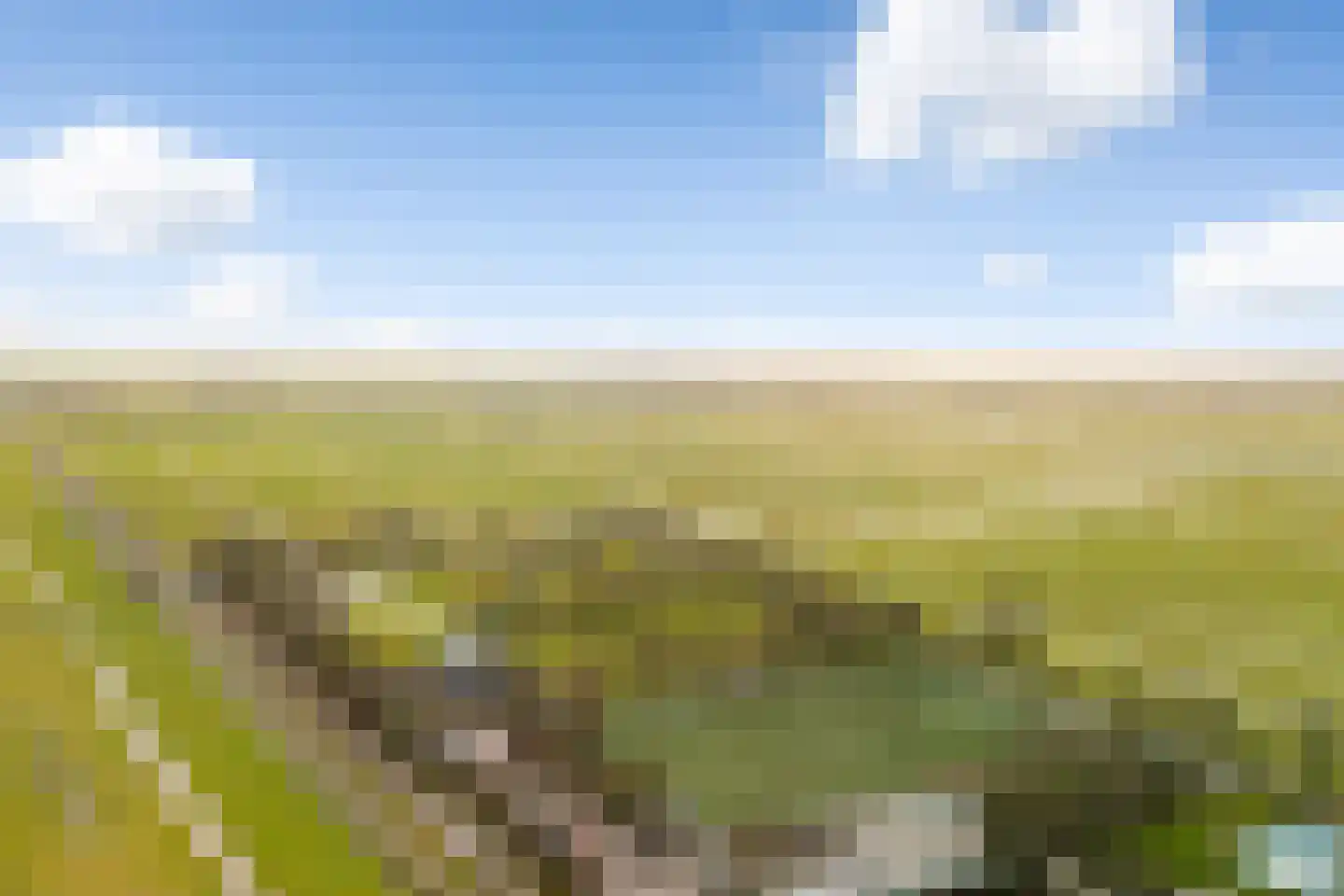 Zuidbuurtseweg 66 Zoeterwoude thumbnail 44