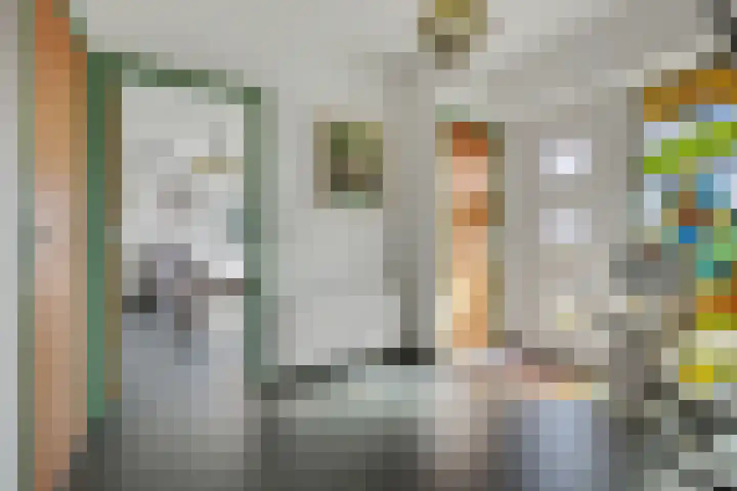 Zuiddeeweg 2 Hoedekenskerke thumbnail 10