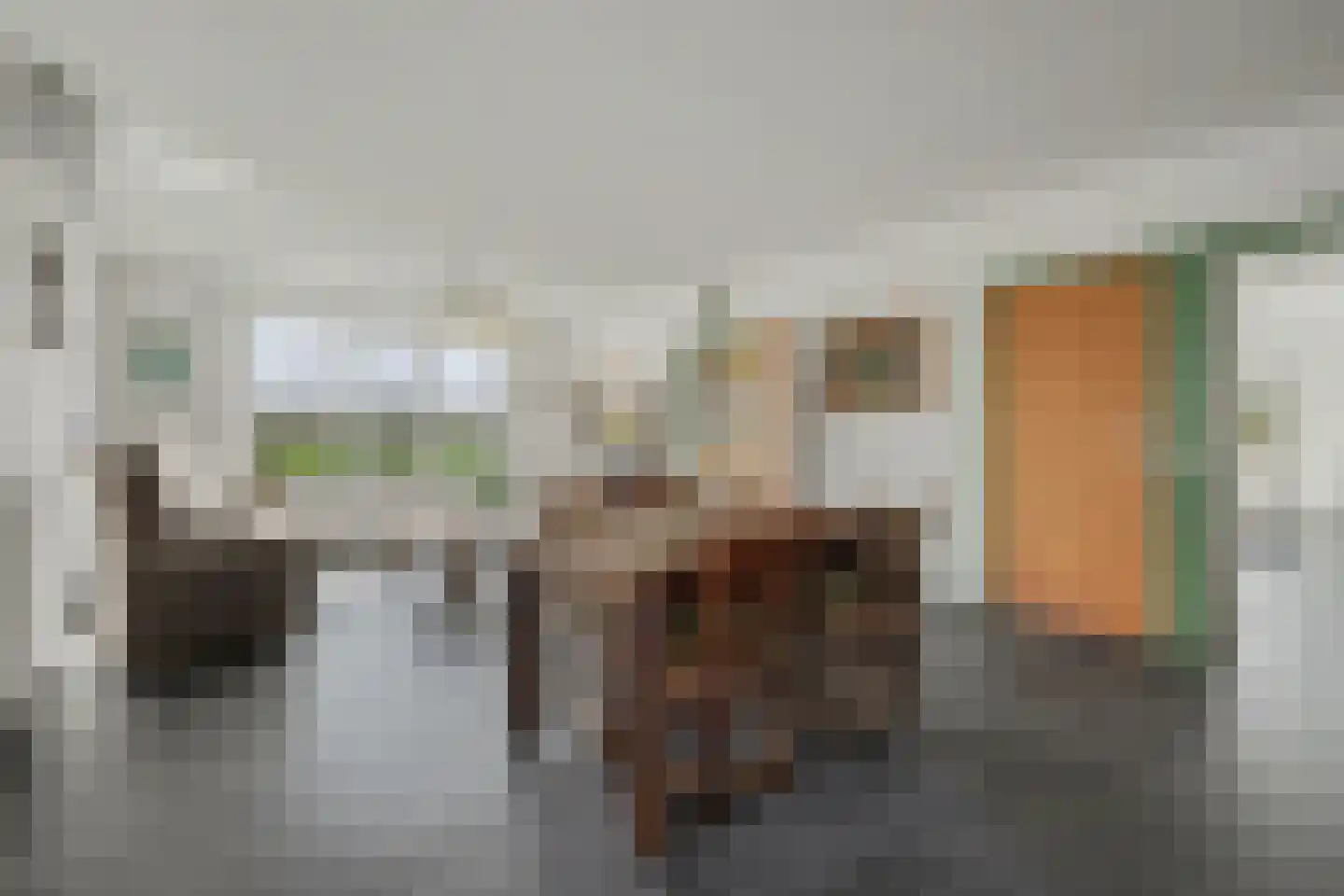 Zuiddeeweg 2 Hoedekenskerke thumbnail 11