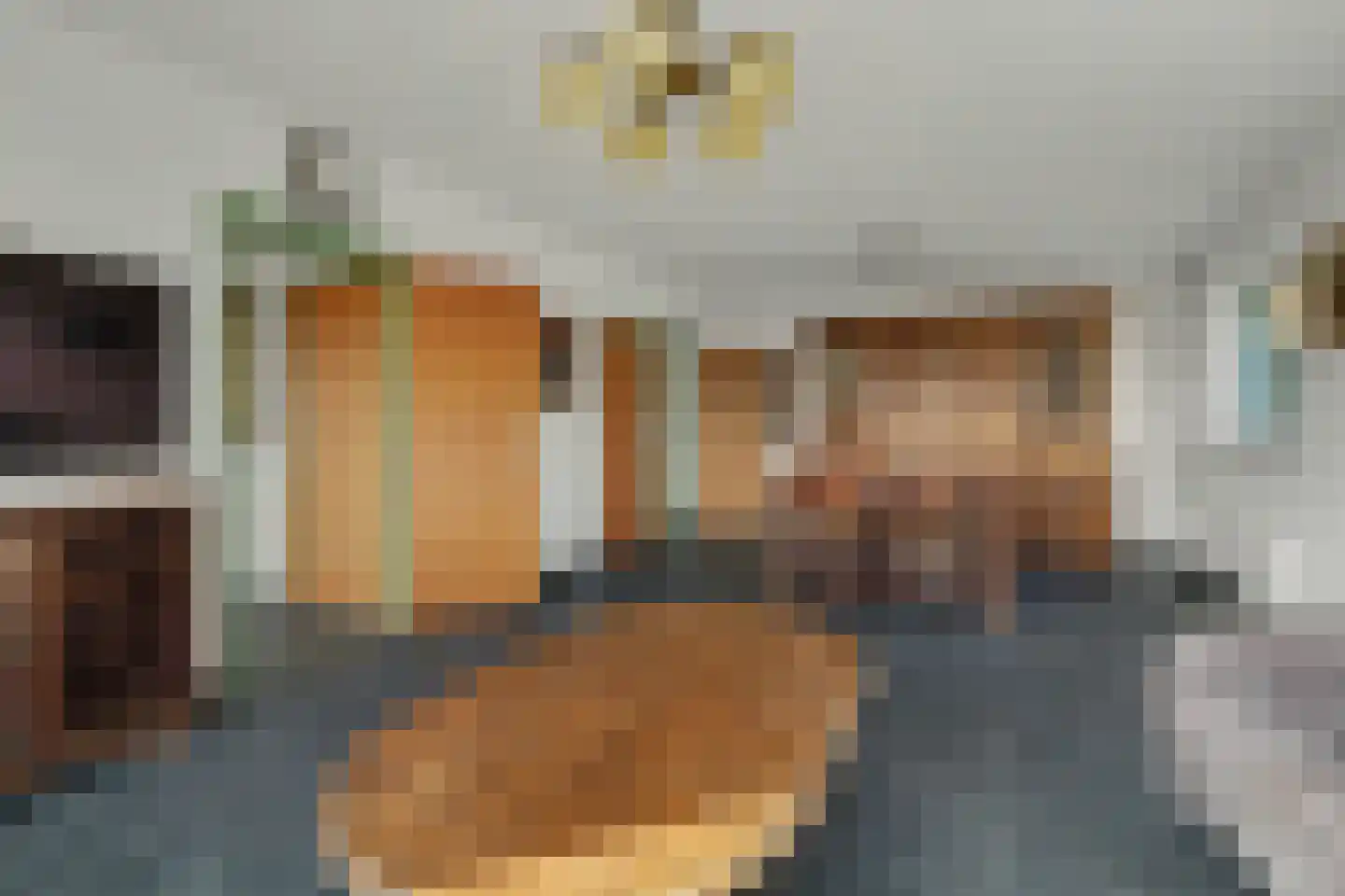 Zuiddeeweg 2 Hoedekenskerke thumbnail 13