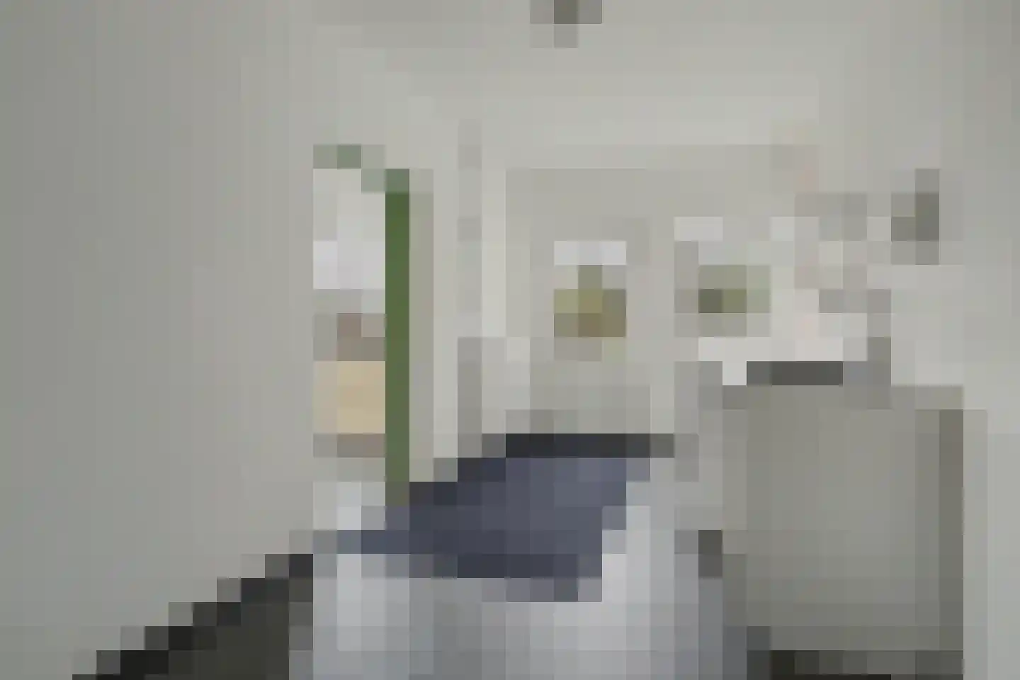 Zuiddeeweg 2 Hoedekenskerke thumbnail 18