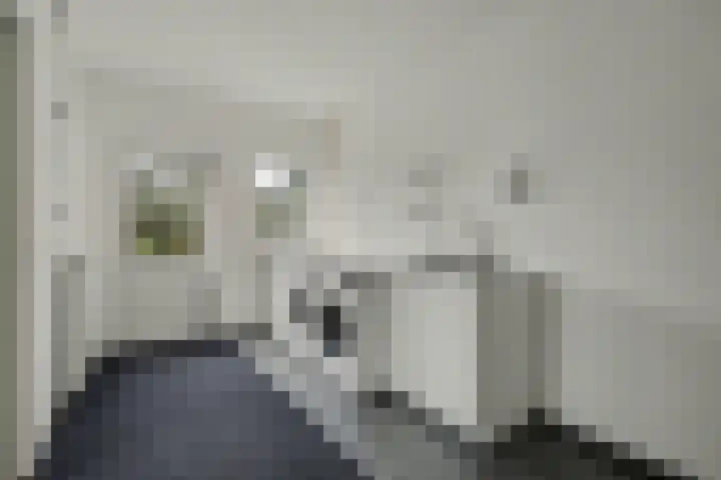Zuiddeeweg 2 Hoedekenskerke thumbnail 19