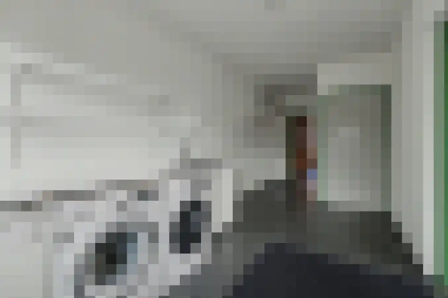 Zuiddeeweg 2 Hoedekenskerke thumbnail 20