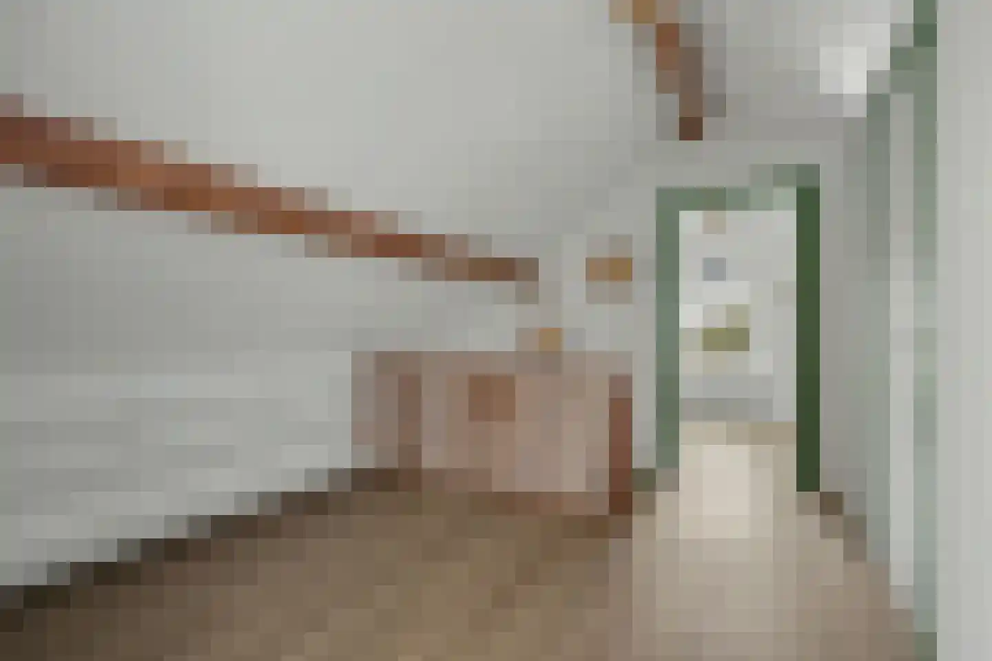 Zuiddeeweg 2 Hoedekenskerke thumbnail 25