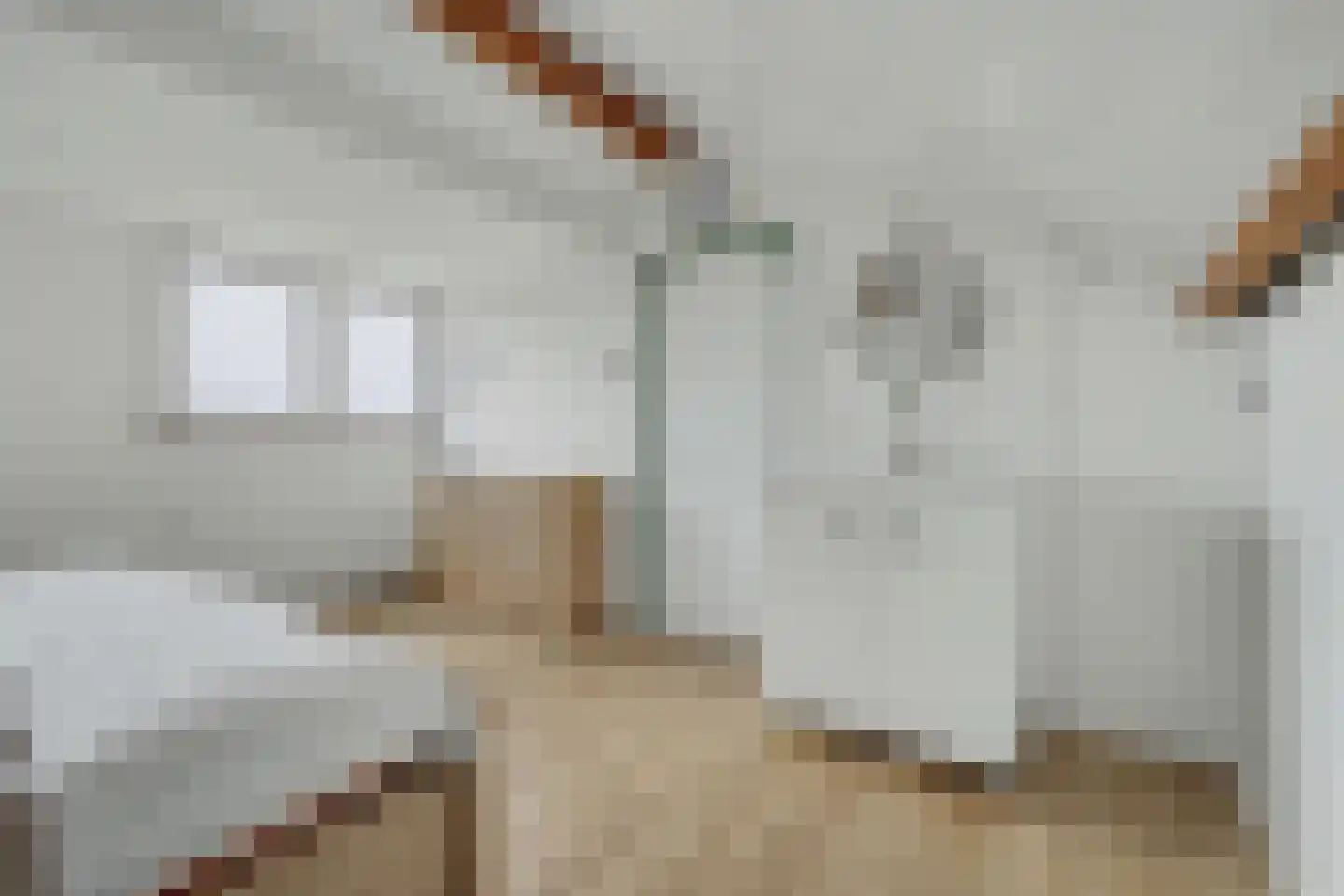Zuiddeeweg 2 Hoedekenskerke thumbnail 28