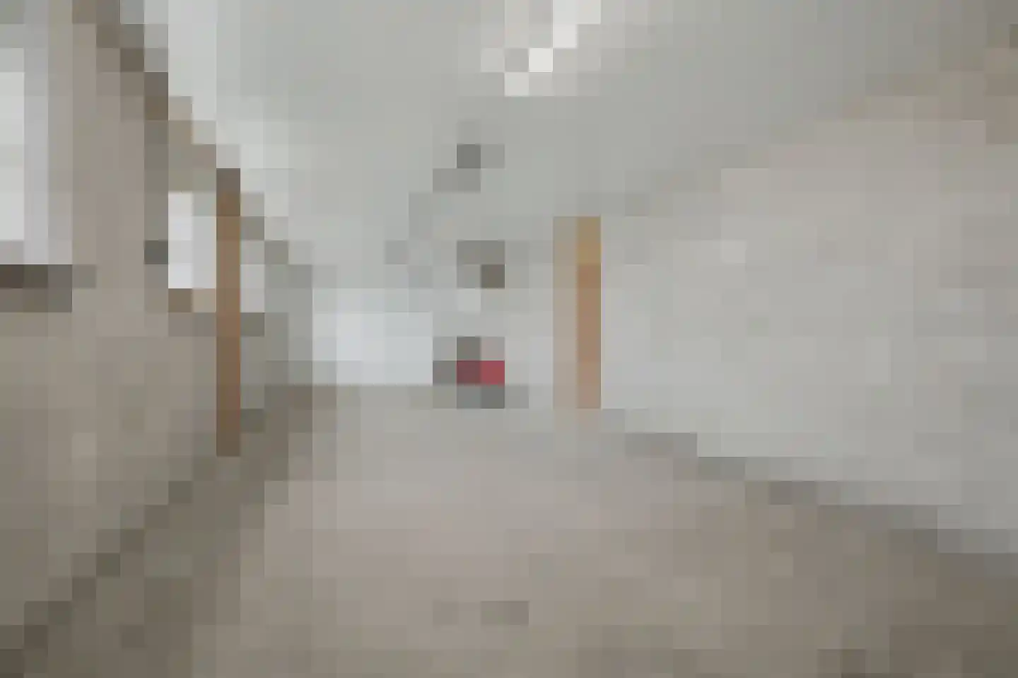 Zuiddeeweg 2 Hoedekenskerke thumbnail 32