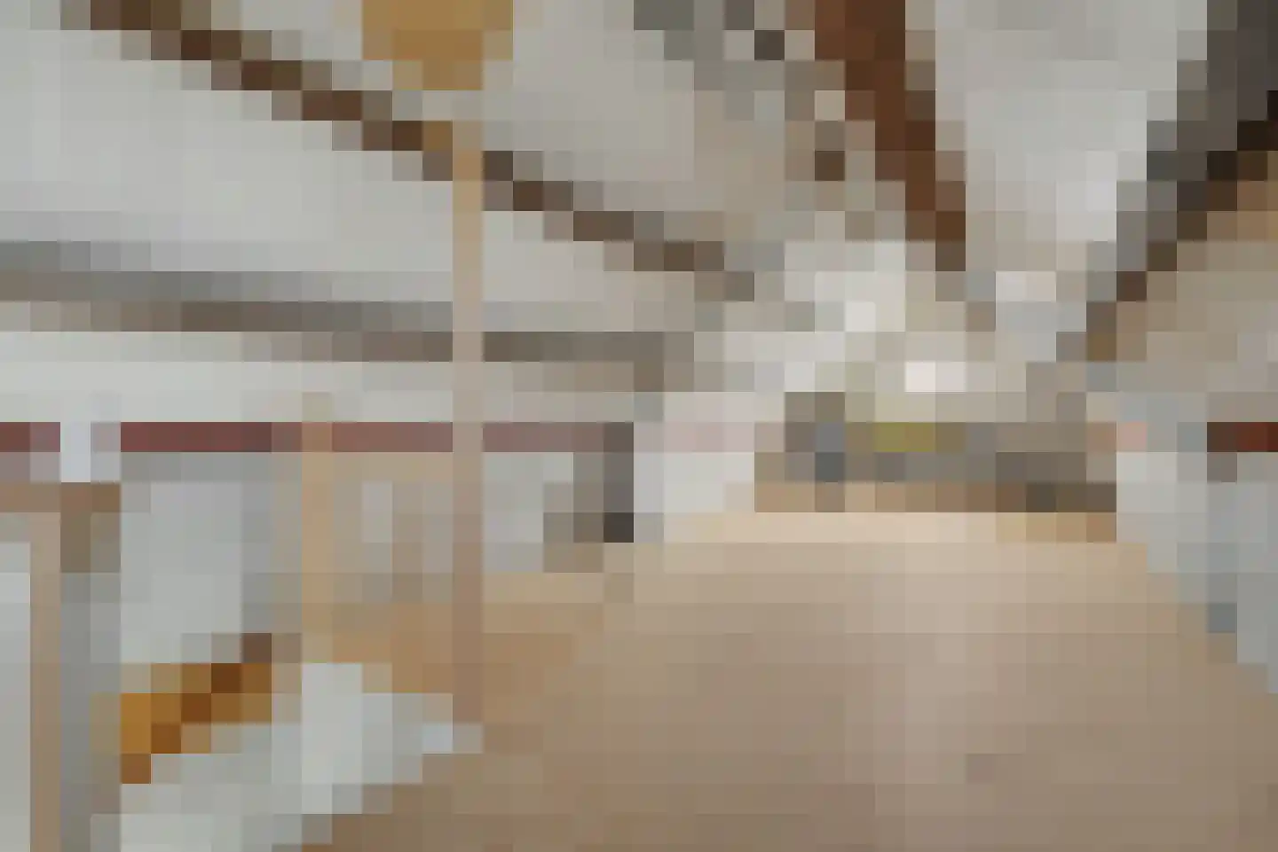 Zuiddeeweg 2 Hoedekenskerke thumbnail 34