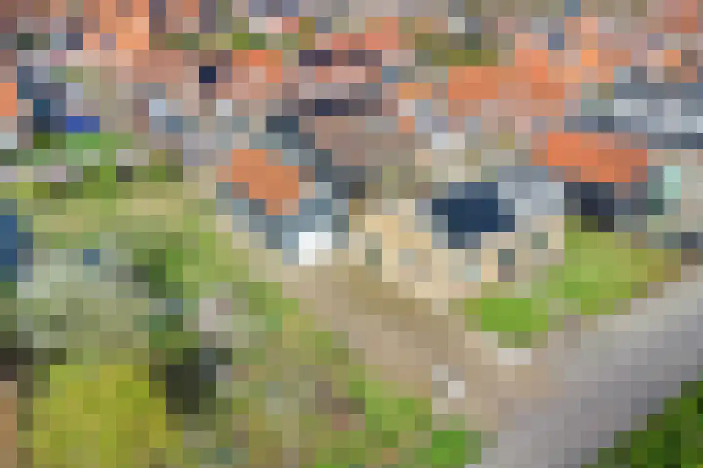 Zuiddeeweg 2 Hoedekenskerke thumbnail 43
