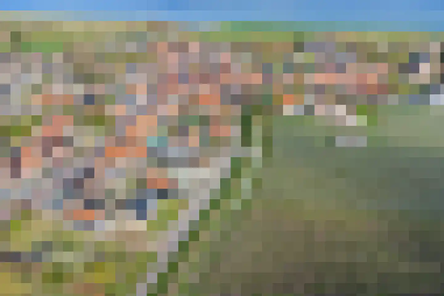 Zuiddeeweg 2 Hoedekenskerke thumbnail 48