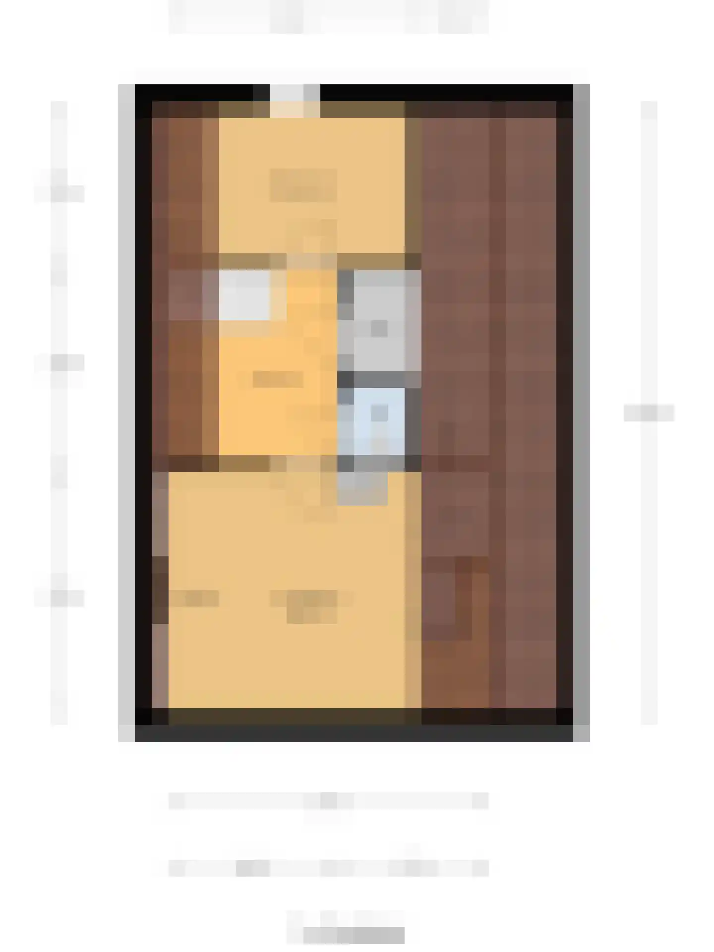Zuiddeeweg 2 Hoedekenskerke thumbnail 52