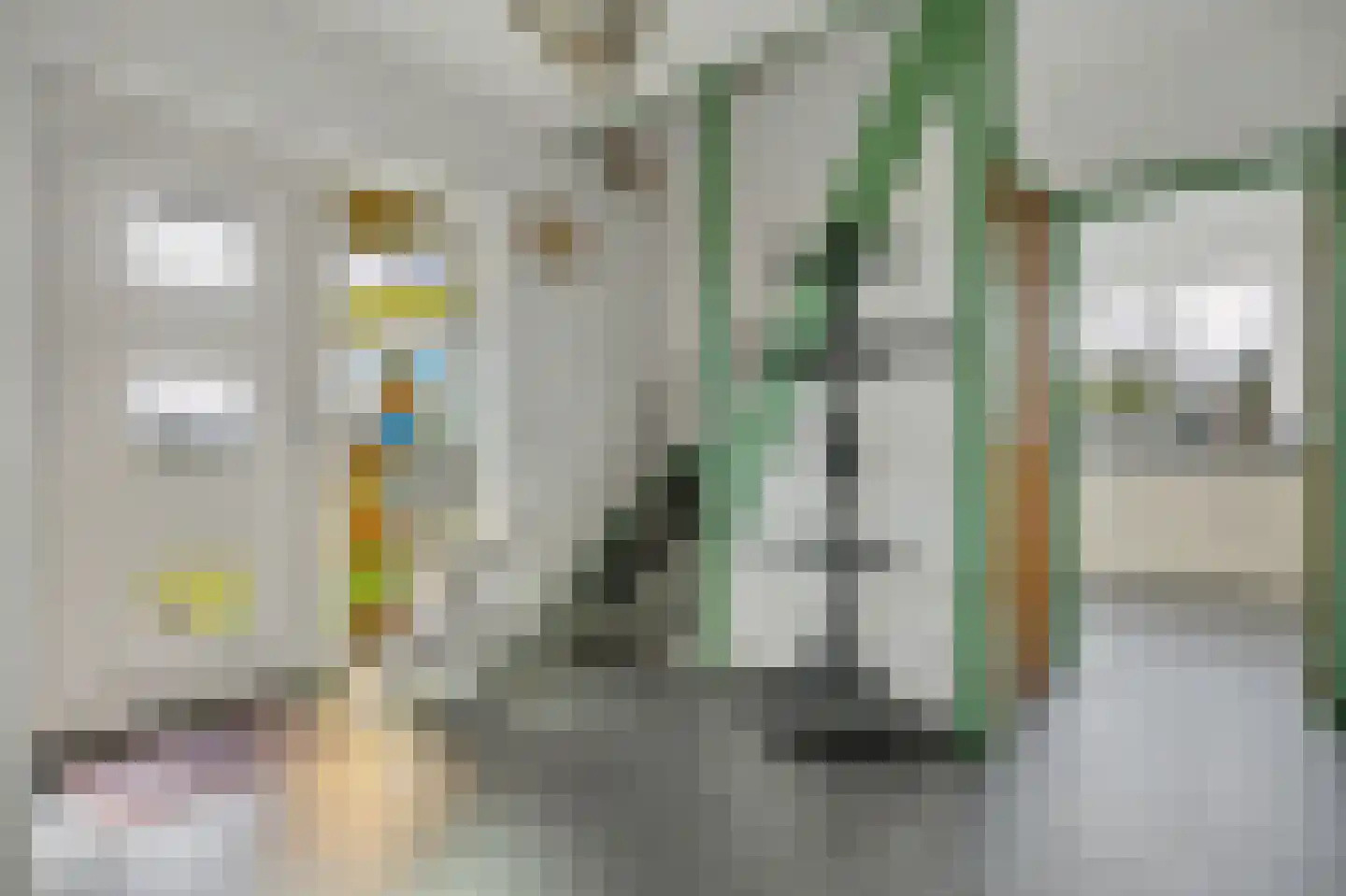 Zuiddeeweg 2 Hoedekenskerke thumbnail 9