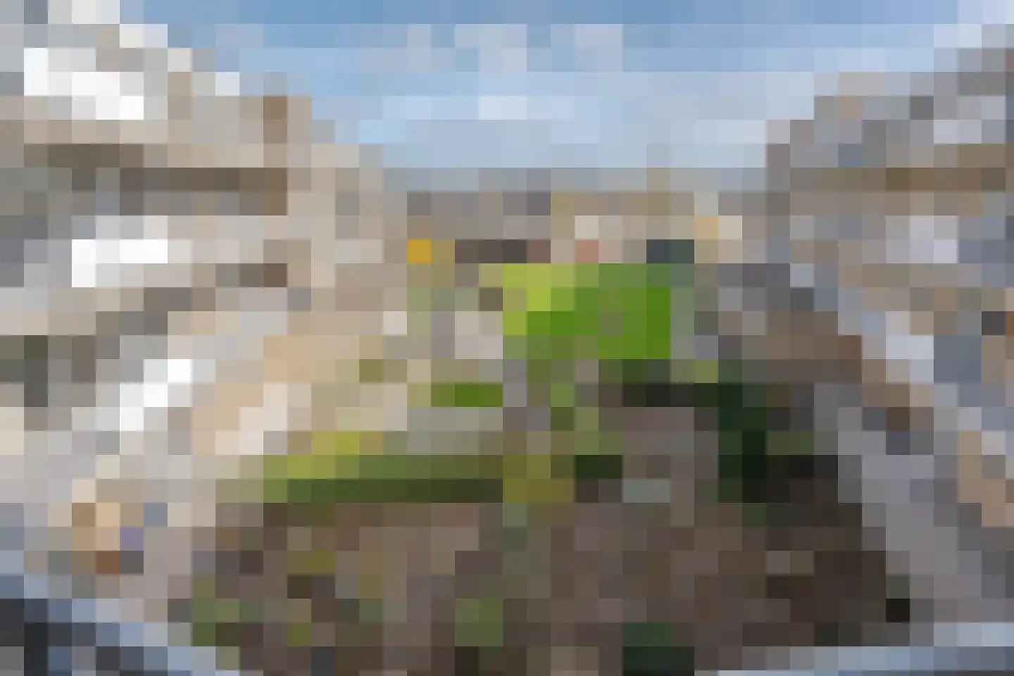 Zuiddiepje 118 Rotterdam thumbnail 24