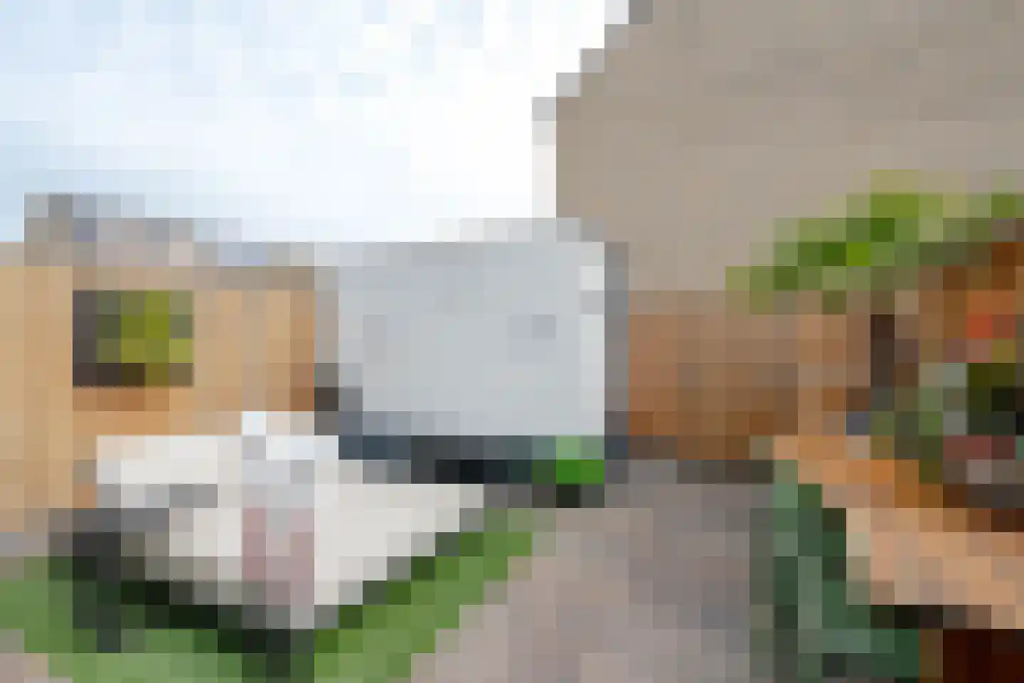 Zuiddiepje 26 Rotterdam thumbnail 18