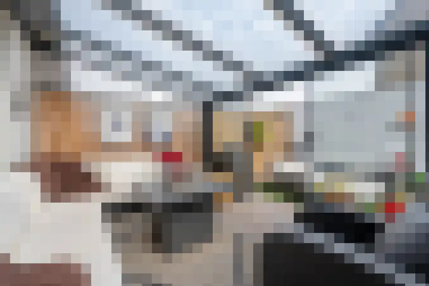 Zuiddiepje 26 Rotterdam thumbnail 19