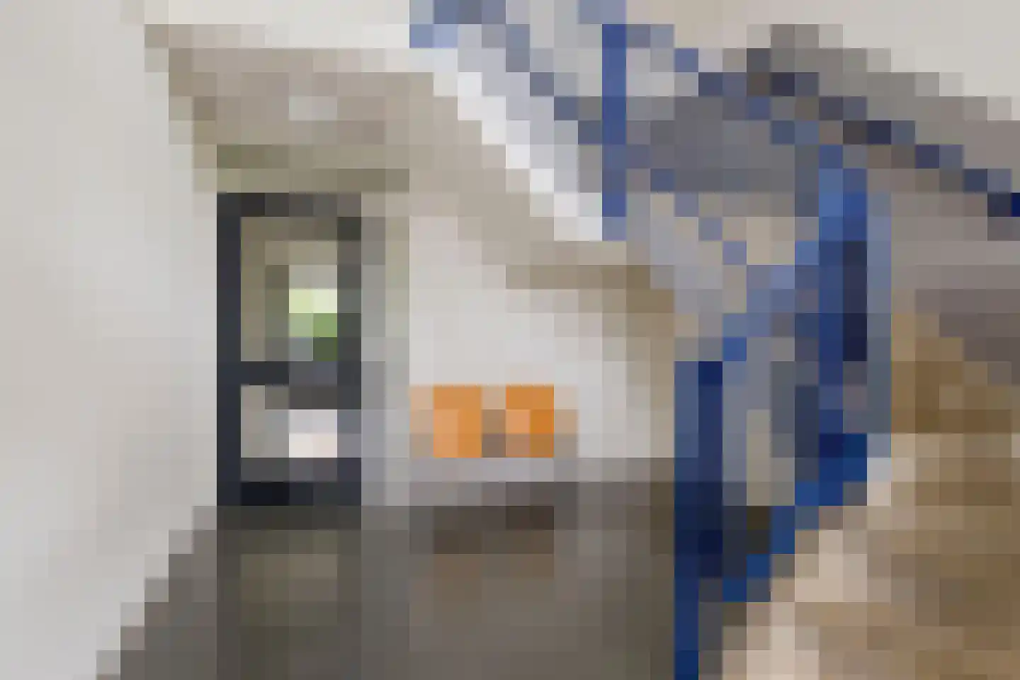 Zuiddiepje 48 Rotterdam thumbnail 4
