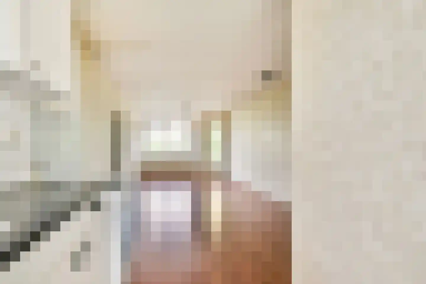 Zuiddiepje 68 Rotterdam thumbnail 9