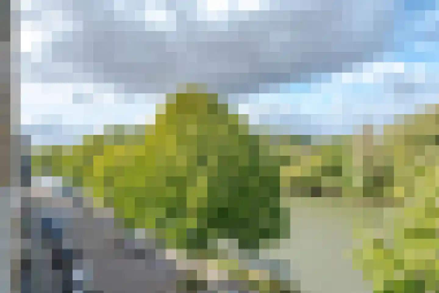 Zuiddiepje 72 Rotterdam thumbnail 18