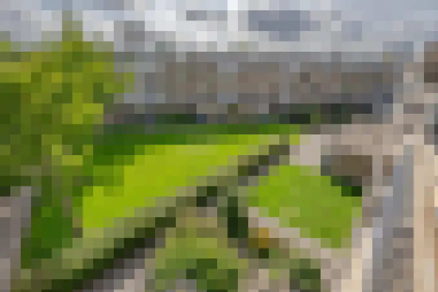 Zuiddiepje 72 Rotterdam thumbnail 28