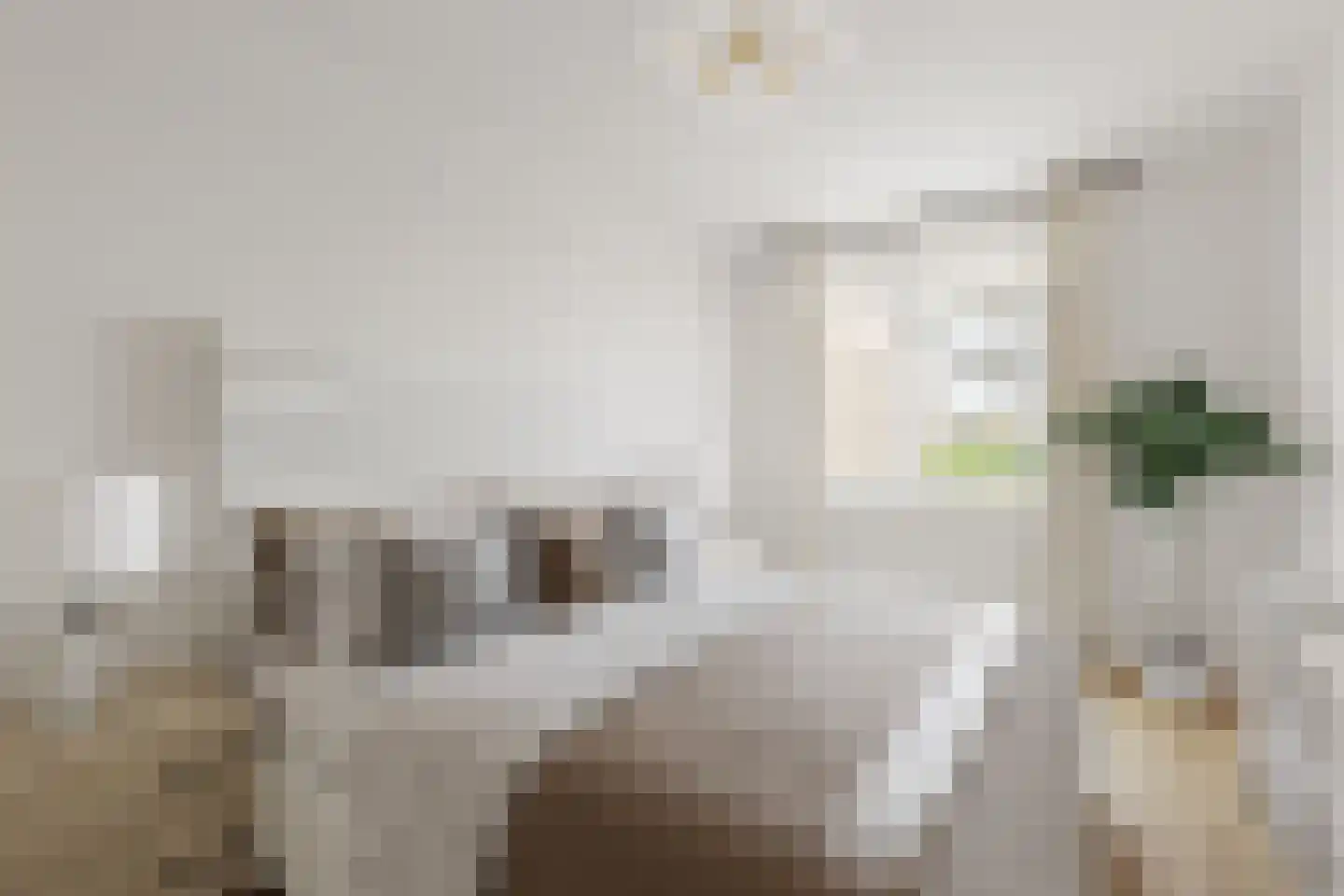 Zuiddiepje 80 Rotterdam thumbnail 18