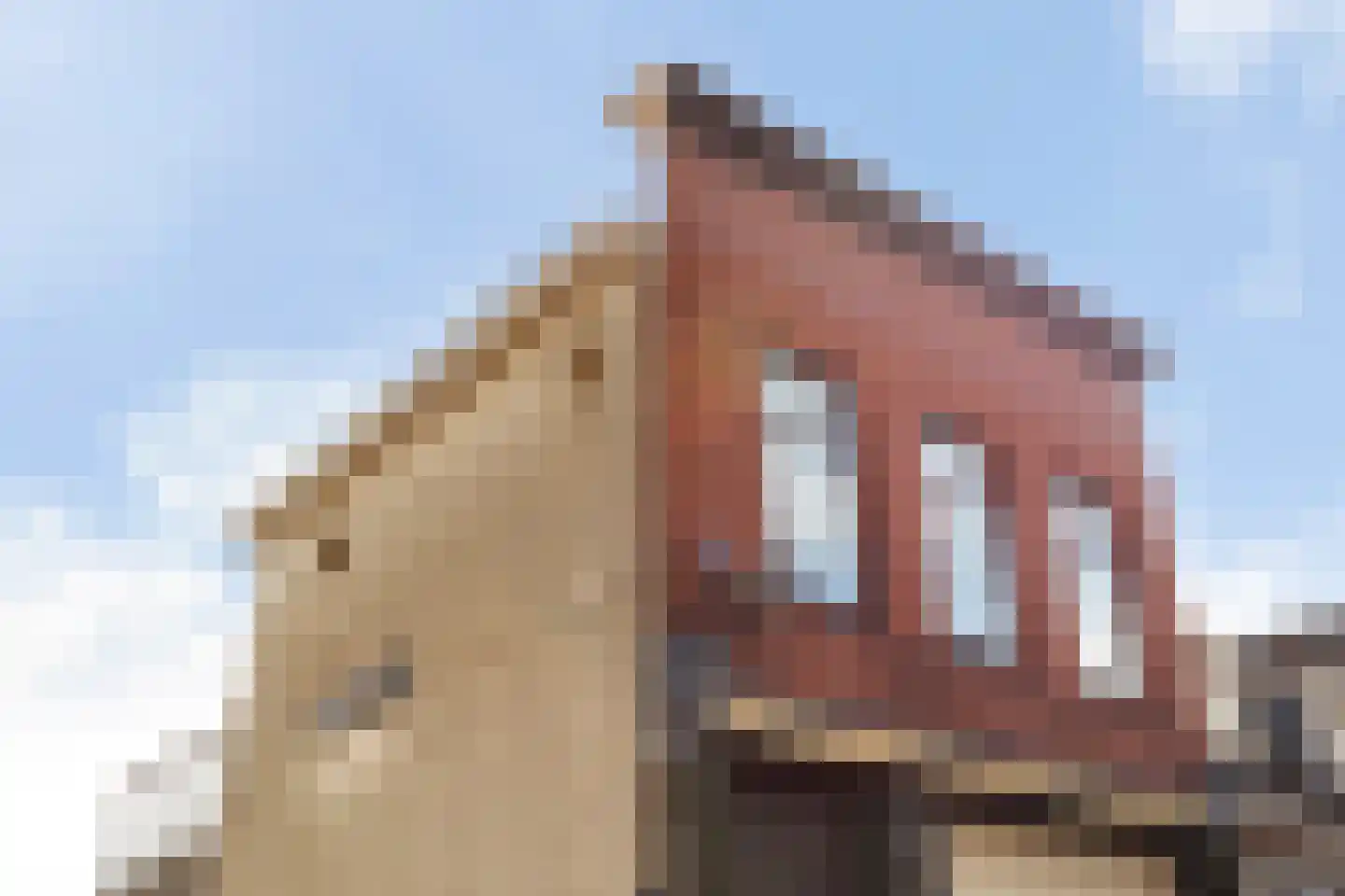 Zuiddijk 1 RD Maassluis thumbnail 11