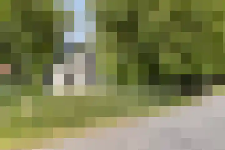 Zuiddijk 10 Dreischor thumbnail 36