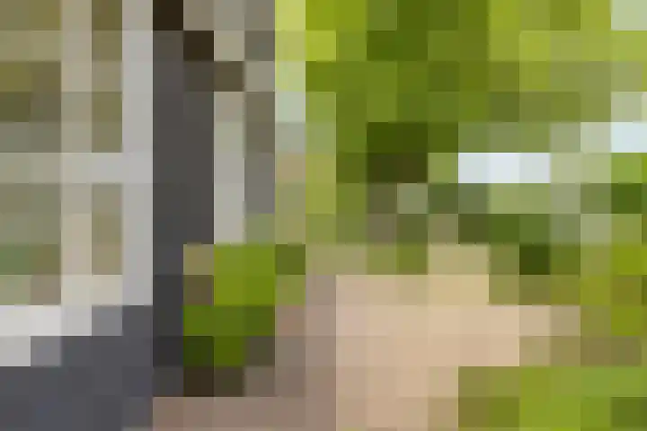 Zuiddijk 10 Dreischor thumbnail 38