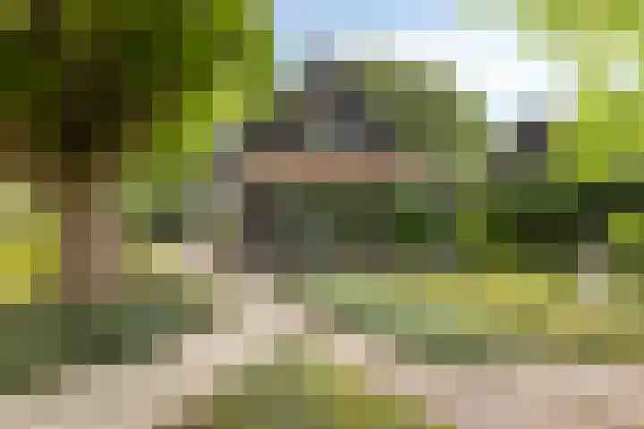 Zuiddijk 10 Dreischor thumbnail 45