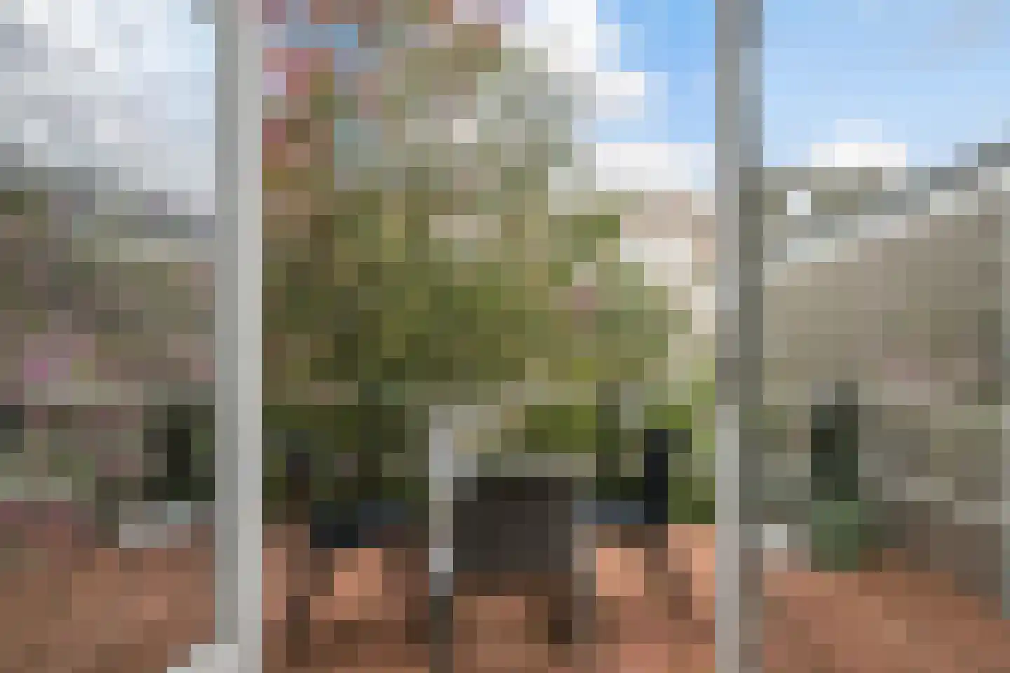 Zuiddijk 10 Maassluis thumbnail 15