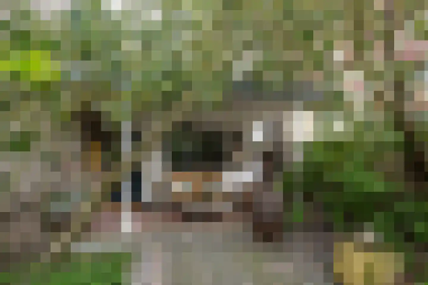 Zuiddijk 10 Maassluis thumbnail 23