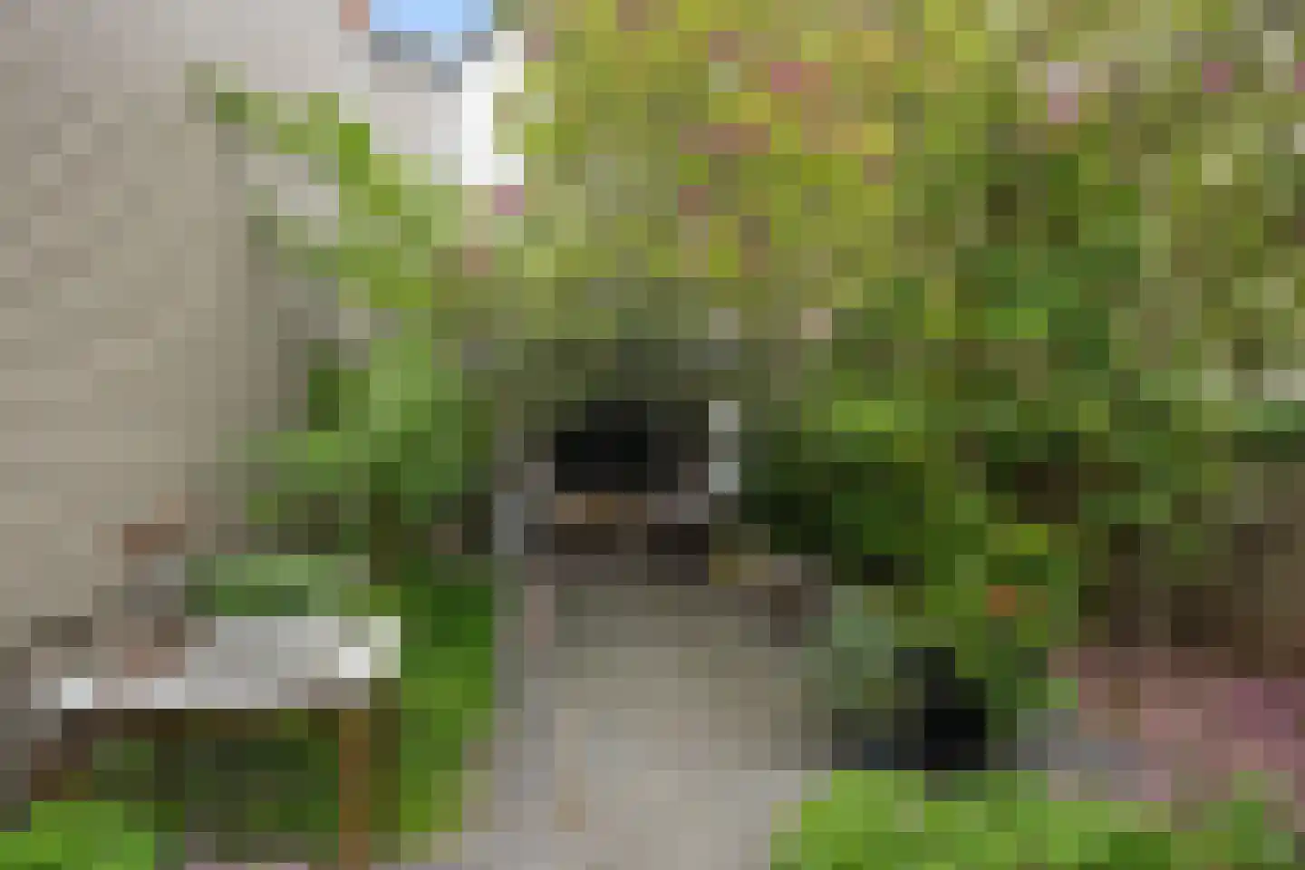 Zuiddijk 10 Maassluis thumbnail 24