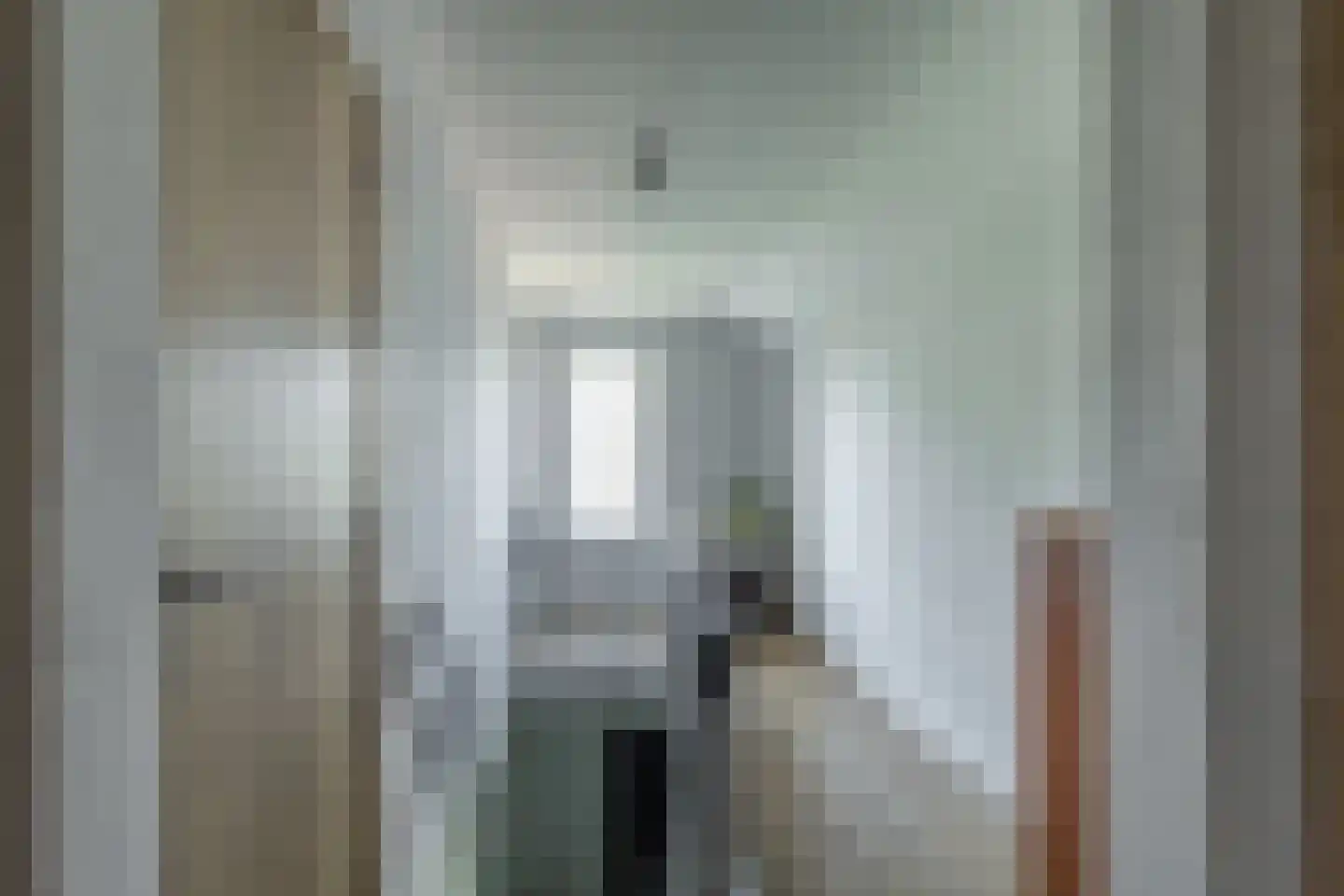 Zuiddijk 11 Hengstdijk thumbnail 18